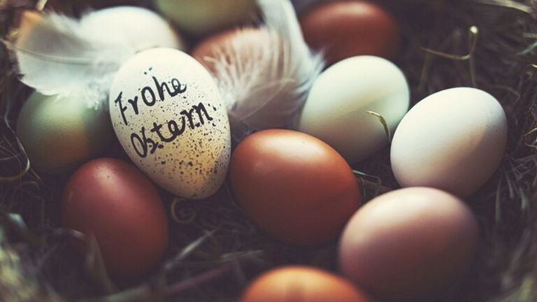 Eier in einem Nest. Eins trägt die Aufschrift "Frohe Ostern"