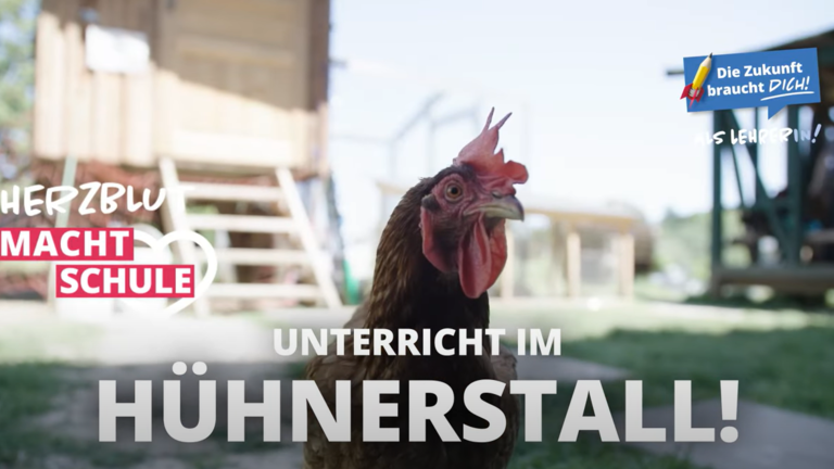 Video Hühner-AG